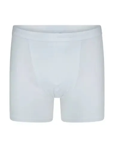 Beeren Boxer Roger