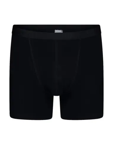 Beeren Boxer Roger