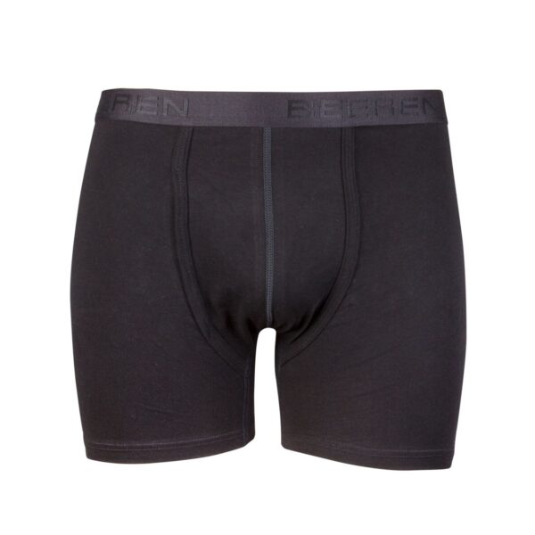 Beeren Boxer Dylan - Image 2