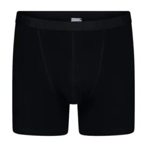 Beeren Boxer Roger