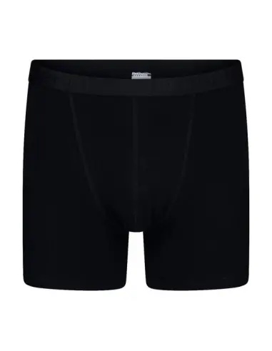 Beeren Boxer Roger